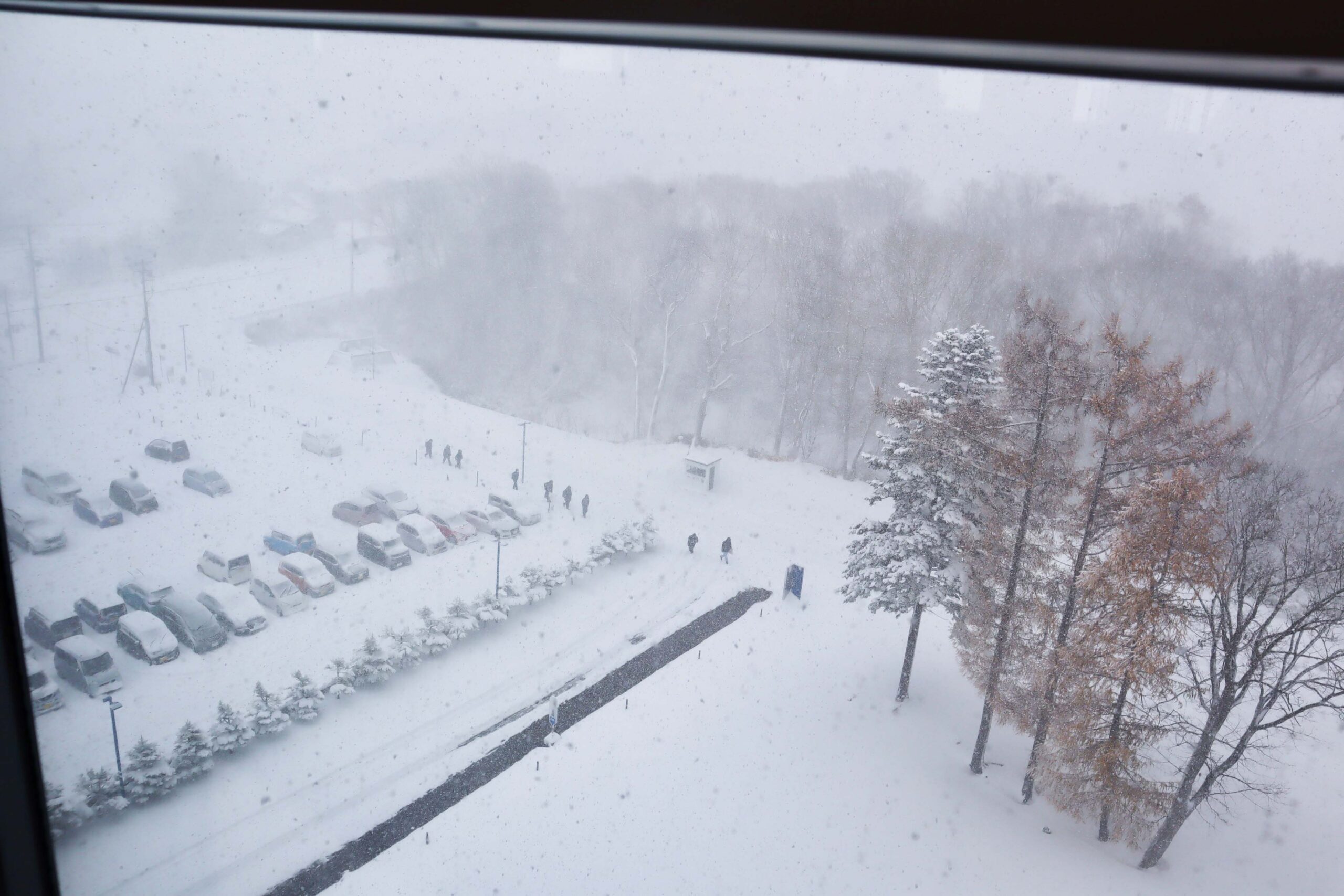 大雪のゼミ展示会。